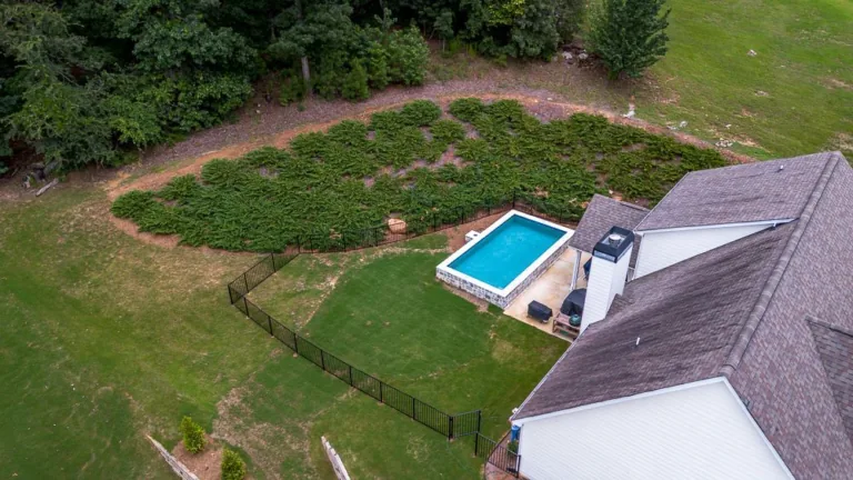 Aerial view of a house with a pool and a large green lawn, surrounded by trees.
